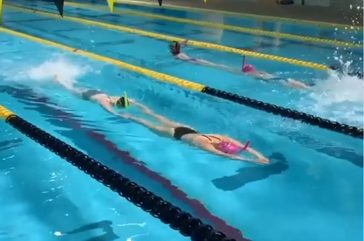 Ejercicios en grupo de natación