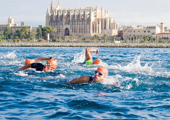 swimming at the Port Palma Triathlon