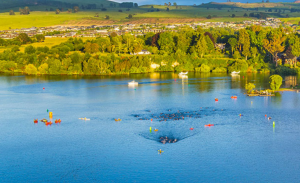 segmento de natación del IRONMAN New Zeland