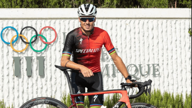 Javier Gómez Noya wts abu dhabi 2020