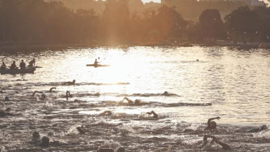 Circuitos Half madrid 2020