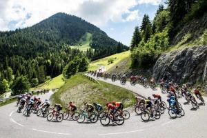The UCI postpones all cycling competitions until June 1