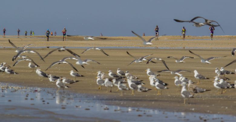 Desafio Doñana 2020 cancelado