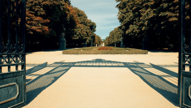 Parque del retiro