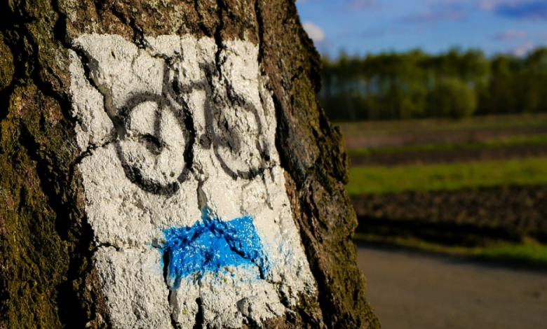 Fahrradtourenbücher Spanien