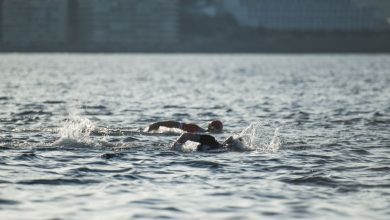 Fordern Sie das Schwimmsegment Mallorca heraus