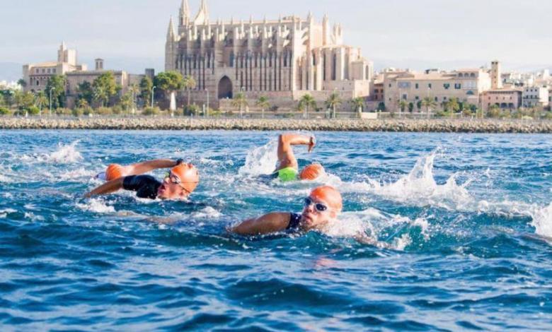 Baignade dans le Triatlo Port de Palma Mallorca