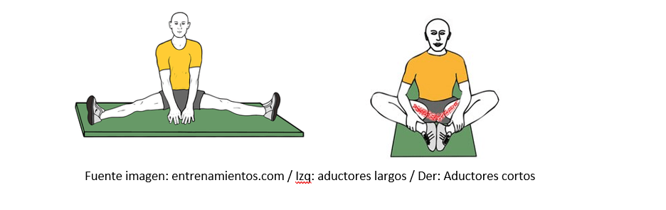 Adductor stretch