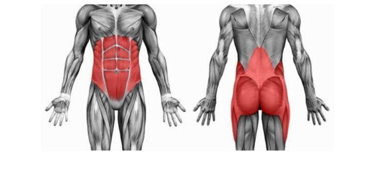 Ejercicios para lumbares - Artículos entrenamiento zona Lumbar