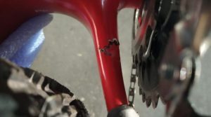 photo of the bike frame crack