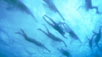 Swimmers at the IRONMAN of Hawaii