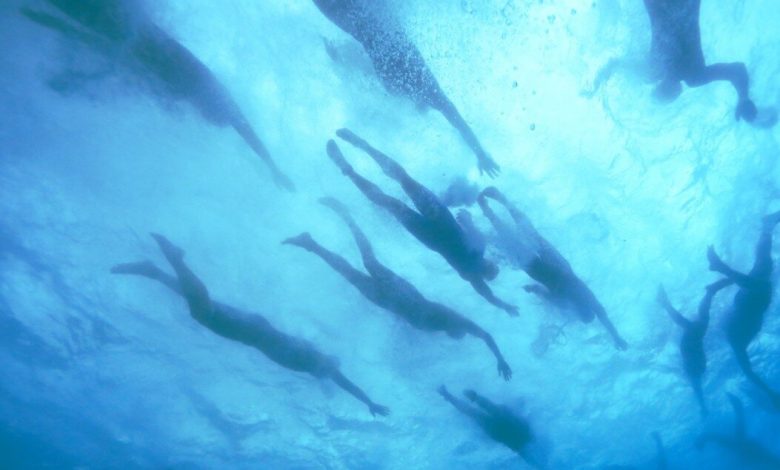 Swimmers at the IRONMAN of Hawaii