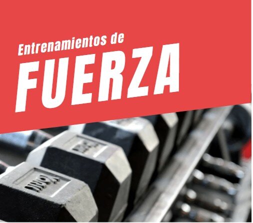 Entrenamientos de fuerza