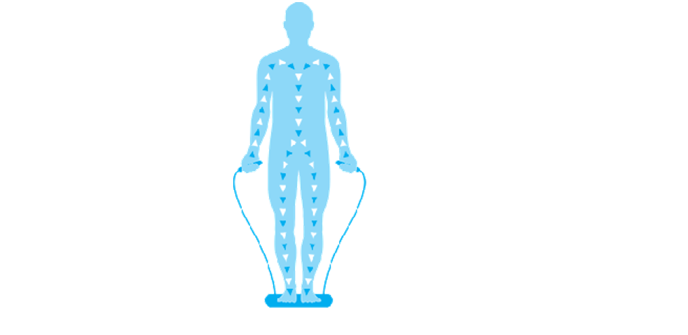 ¿Qué son las básculas de bioimpedancia y cuáles son las mejores? - Artículos Material deportivo ¿Cómo funciona una báscula de bioimpedancia