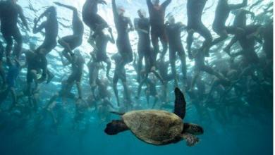 IRONMAN vuelve a emitir sus directos online