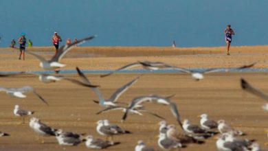 Já existe uma data para o Desafio Doñana 2021