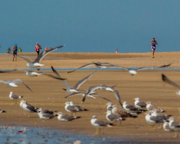 Es gibt bereits einen Termin für die Doñana 2021 Challenge