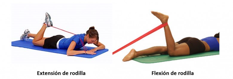 Knee extension and knee flexion