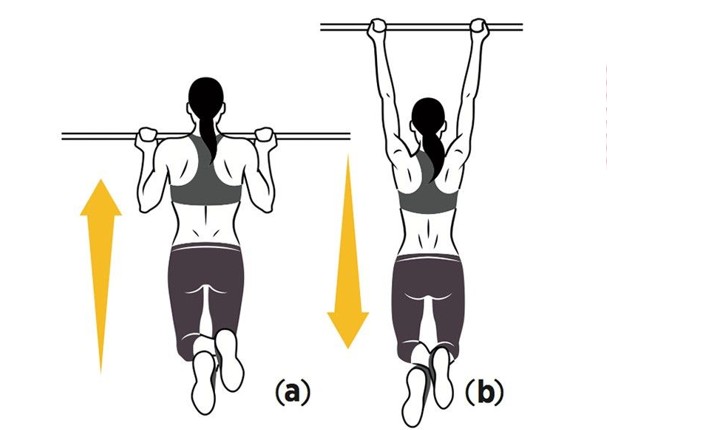 Pull-up excentrique