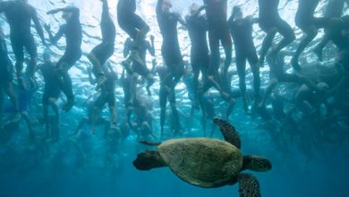 El Ironman Hawaii aplazado a febrero 2022