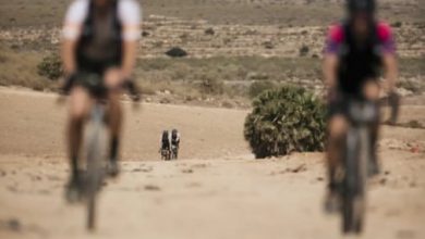 Alistair Brownlee acaba 7º en la Transibérica Ultracycling Bandlans