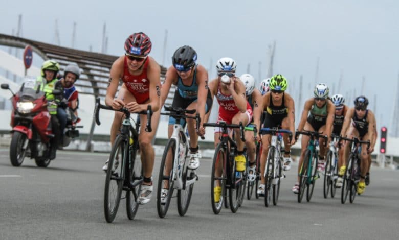 Wie ist die Triathlon-Lizenz zu bearbeiten?