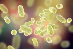 How does the microbiota affect athletes?