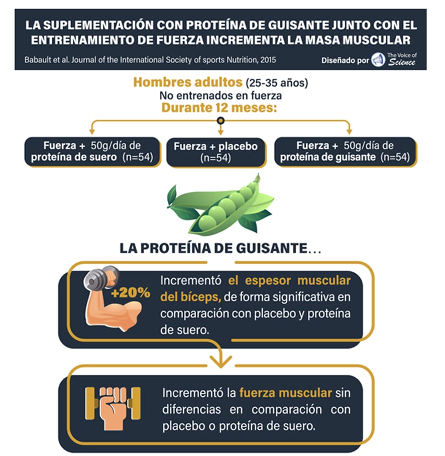 Infografik erstellt in Zusammenarbeit mit The Voice of Science @thevoiceofscience