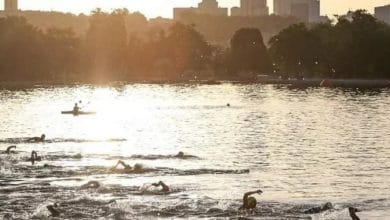 O lago Casa de Campo, em excelentes condições para receber o triatlo do Grande Madrid