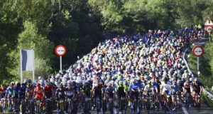 Passeio de bicicleta de abutre barbudo cancelado