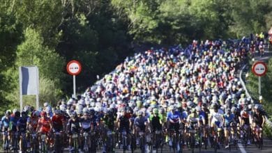 Passeio de bicicleta de abutre barbudo cancelado