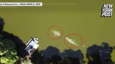 Un triatleta es atacado por un caimán en un lago de Florida