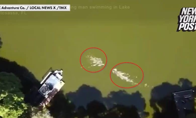 Un triatleta es atacado por un caimán en un lago de Florida