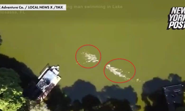 A triathlete is attacked by an alligator in a Florida lake