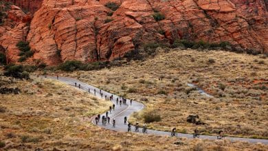 L'aperçu du championnat du monde IRONMAN 70.3