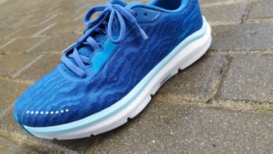 Review - Skechers Go Run Ride 10