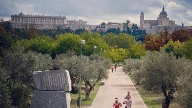 Imagen de la carrera a pie del Half Madrid