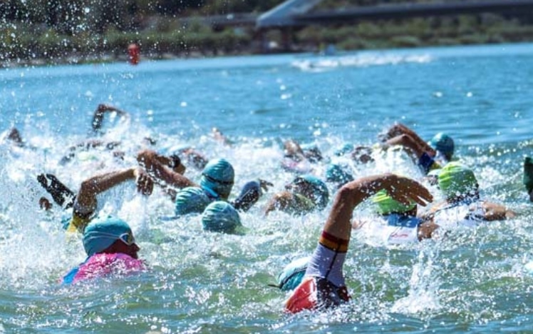 Triathleten schwimmen im Guadalquivir