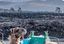 IM/ imagen de varios triatletas en el ciclismo