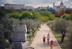 Instagram / Bild von Half Madrid mit dem königlichen Palast im Hintergrund