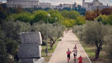 Instagram / immagine di Mezza Madrid con il palazzo reale sullo sfondo