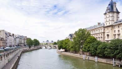 Toile/ image de la Seine