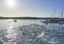 Bild von Tri Portocolom beim Schwimmen
