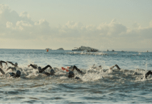 Bild vom Ibiza Half Triathlon Schwimmen