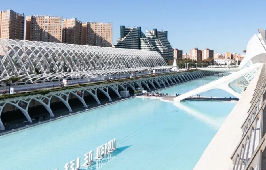 IM/ imagen del Oceanografic de Valencia
