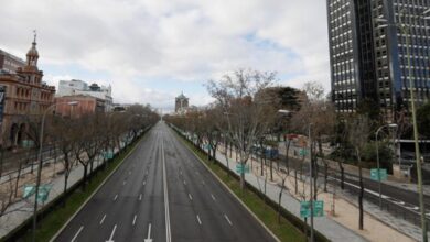 Imagen del Paseo de la Castellana