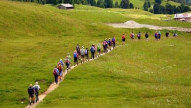 Image of a group hiking