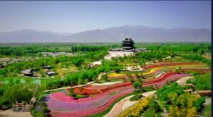 Challenge Family/ Imagen de Beijing