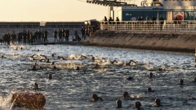 Imagen de la natación en el TRITON LISBOA