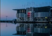 Imagen de la salida de natación del TRITON Lisboa